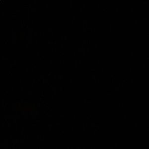 Meet your Posher, Timur